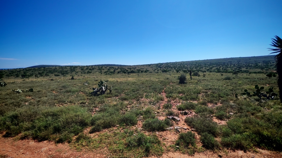 0 Bedroom Property for Sale in Somerset East Rural Eastern Cape